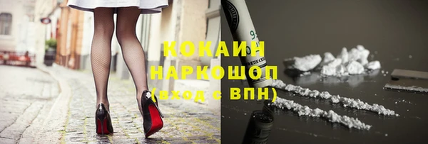 прущие грибы Медвежьегорск