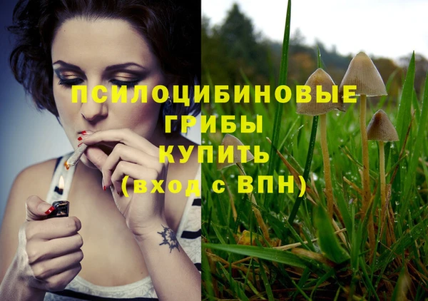 соль ск Медногорск