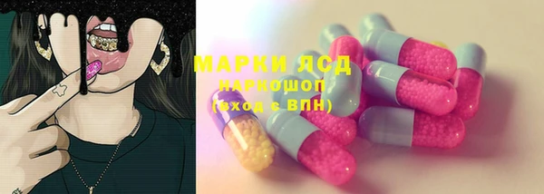 соль ск Медногорск