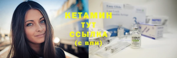 прущие грибы Медвежьегорск