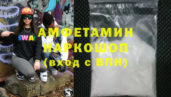 прущие грибы Медвежьегорск