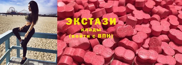прущие грибы Медвежьегорск