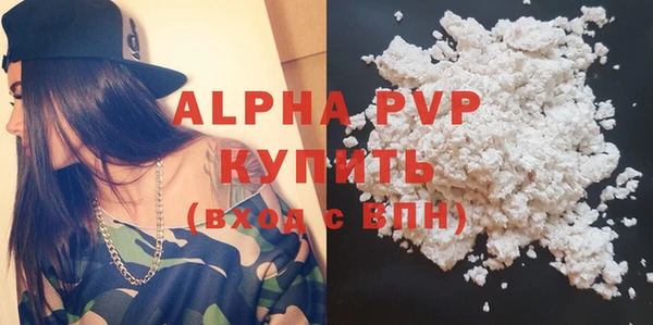 прущие грибы Медвежьегорск