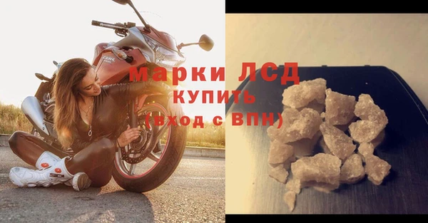 прущие грибы Медвежьегорск