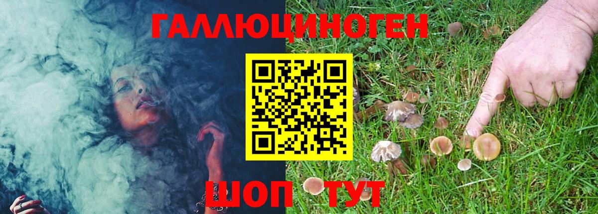 Лобня  Галлюциногенные грибы Magic Shrooms  Вход с VPN 