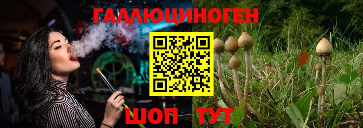 Псилоцибиновые грибы прущие грибы Лобня